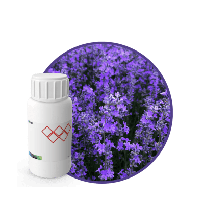 V5169718 - FRAGANCIA LAVANDA MYSTIC