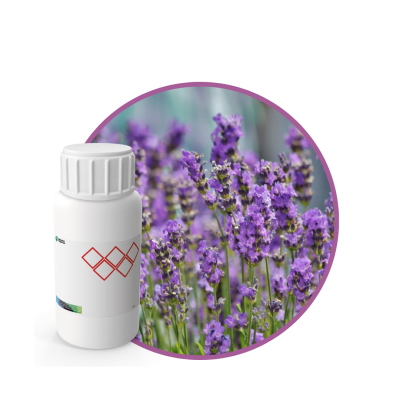 AC632318 - FRAGANCIA LAVENDER CANDLES