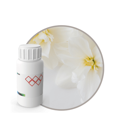 AR583844 - FRAGANCIA LEATHER OUD AIR