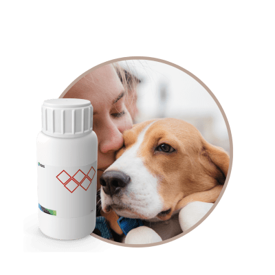 V5330718 - FRAGANCIA LOVE PETS