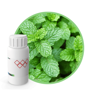 M8359200 - SABOR MENTA NATURAL II