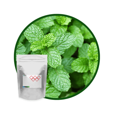 PM6132PX - SABOR MENTA EN POLVO