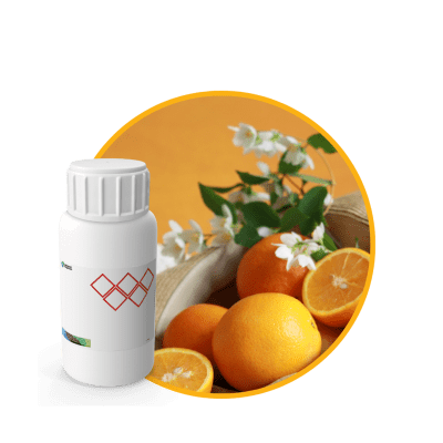 V1216218 - FRAGANCIA MERAKI SOYCANDLE