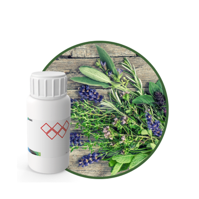 SC547544 - FRAGANCIA MESSIEURS SOYCANDLE