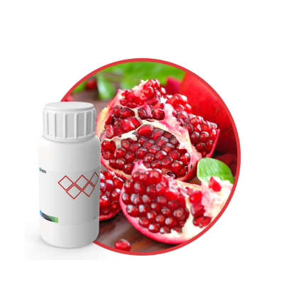 V2824818 - FRAGANCIA MIDNIGTH SOYCANDLE