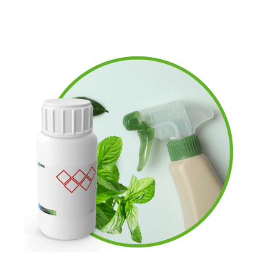 C6952118 - FRAGANCIA MINT INTENSE