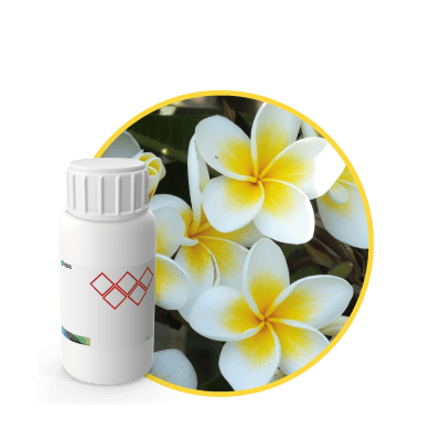 V6898918 - FRAGANCIA MONETTE EF NS