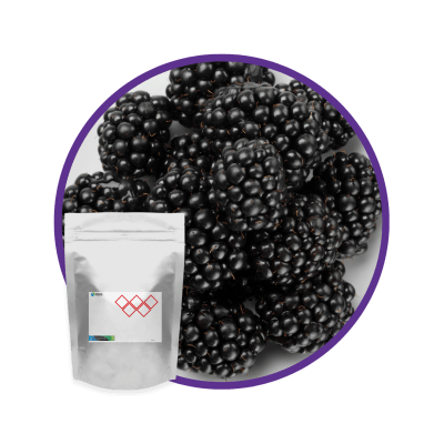 PM6959PX - SABOR MORA EN POLVO