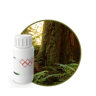 CR596218 - FRAGANCIA MOROCCAN CEDAR CARE SPA