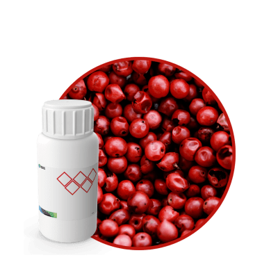 V9093218 - FRAGANCIA ORLY SOYCANDLE