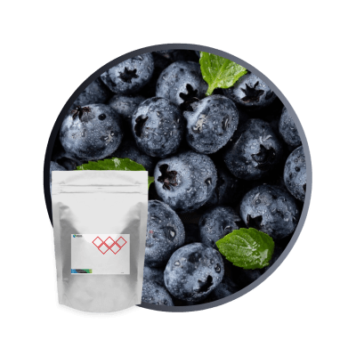 PA6077PX - SABOR ARANDANO EN POLVO NATURAL