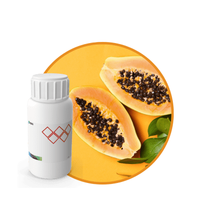 SC545644 - FRAGANCIA PAPAYA SOYCANDLE