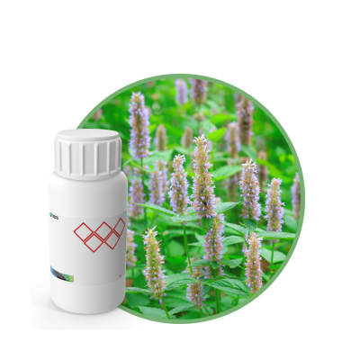 V9137118 - FRAGANCIA PATCHOULI MYSTIC