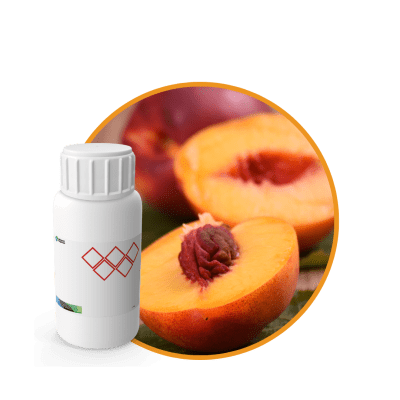 SC478244 - FRAGANCIA PEACH SOYCANDLE CLS