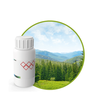 AC556018 - FRAGANCIA PINE INTENSE