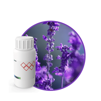 CR576618 - FRAGANCIA PURPLE FLOWERS CARE