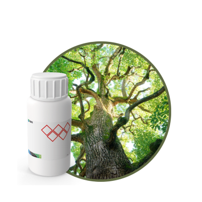 V3365618 - FRAGANCIA ROMERO MYSTIC