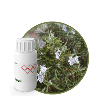 CC828318 - FRAGANCIA ROSEMARY CARE