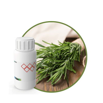 AC655518 - FRAGANCIA ROSEMARY RELAX
