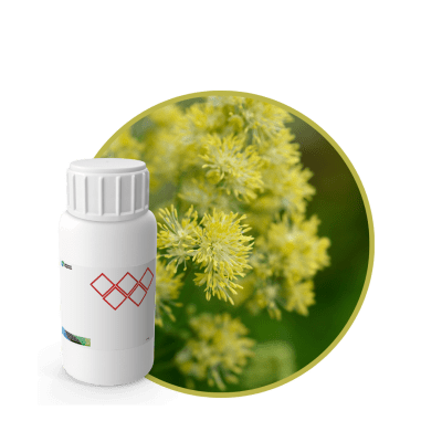 V0989618 - FRAGANCIA RUDA MYSTIC