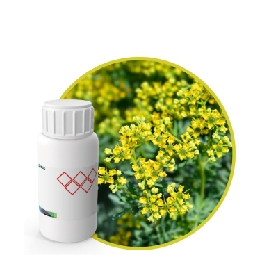 AC621618 - FRAGANCIA RUE CARE
