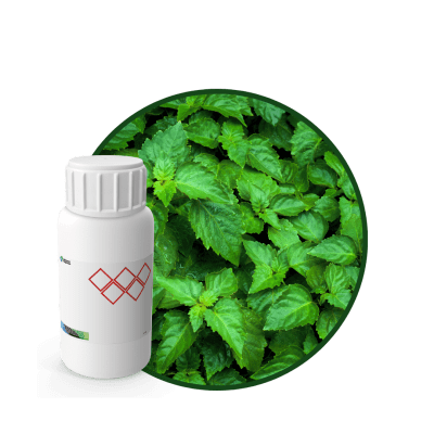 C9855044 - FRAGANCIA SEDUCTION AIR