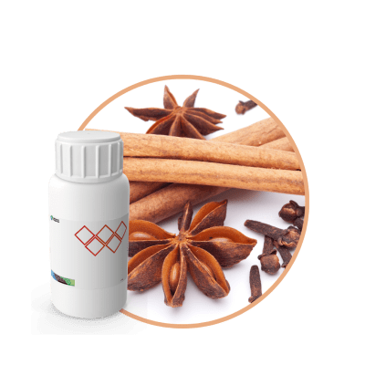 SC547344 - SOYCANDLE EXCUSES