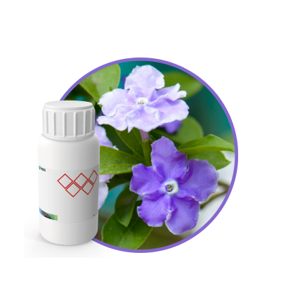 A5493318 - FRAGANCIA SOYCANDLE TO CALM