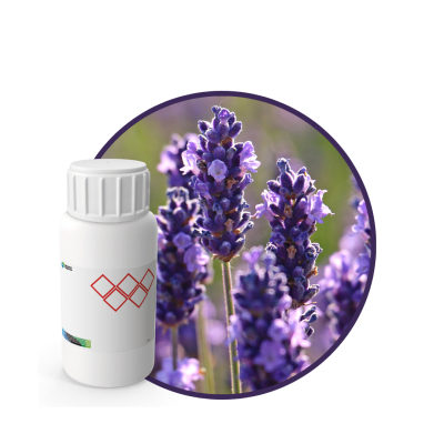 SC479144 - FRAGANCIA SPARK LAVENDER SOYCANDLE