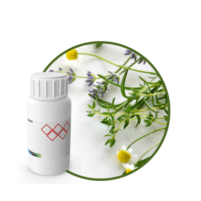 V1855518 - FRAGANCIA SPELL GLAM