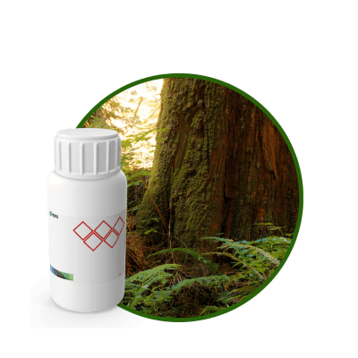 V4725618 - FRAGANCIA SPORT AIR