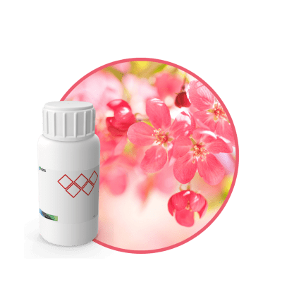 AR477144 - FRAGANCIA SUMMER AIR