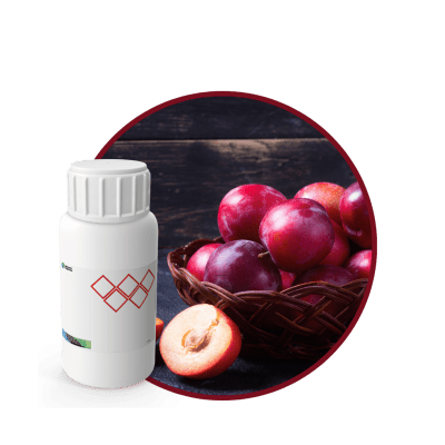 V4427218 - FRAGANCIA SWEET CREAMY AIR