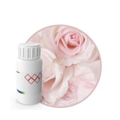 CR542818 - FRAGANCIA SWEET ROSE CARE SPA