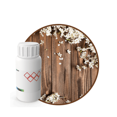 V4970118 - FRAGANCIA SWEET WOODY AIR