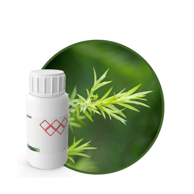 I9823318 - FRAGANCIA TEA TREE CARE