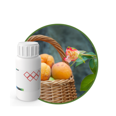 V8873618 - FRAGANCIA VELVET SOYCANDLE