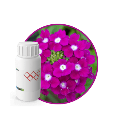 CC926018 - FRAGANCIA VERBENA CARE