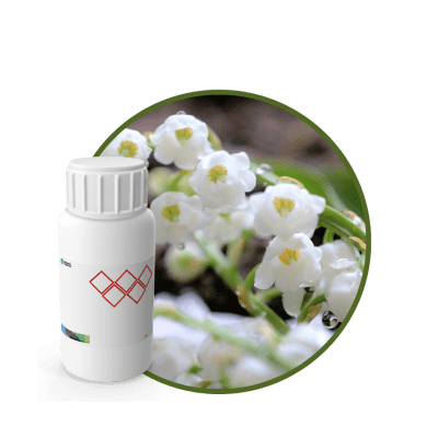 V0548118 - FRAGANCIA VERT DUCHESSE EF