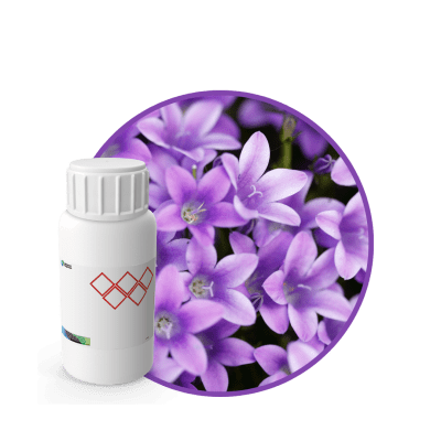 AC632018 - FRAGANCIA VIOLET CANDLES