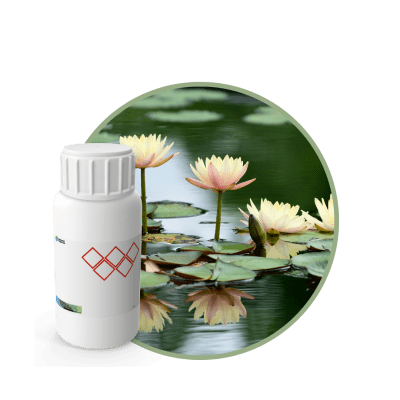 V6147518 - FRAGANCIA WATER LILY AIR