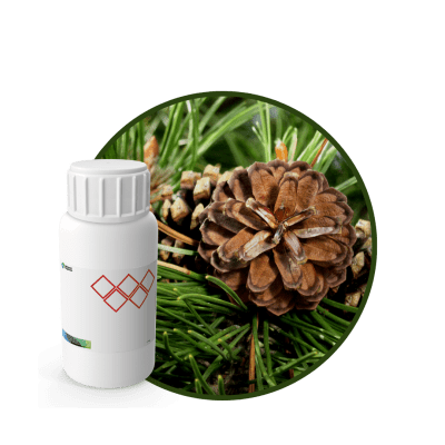 V0899918 - FRAGANCIA WOODY SOYCANDLE