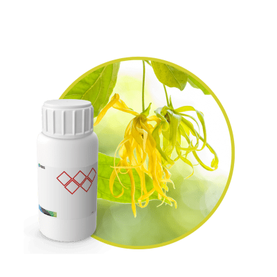 V0299018 - FRAGANCIA YLANG YLANG CARE