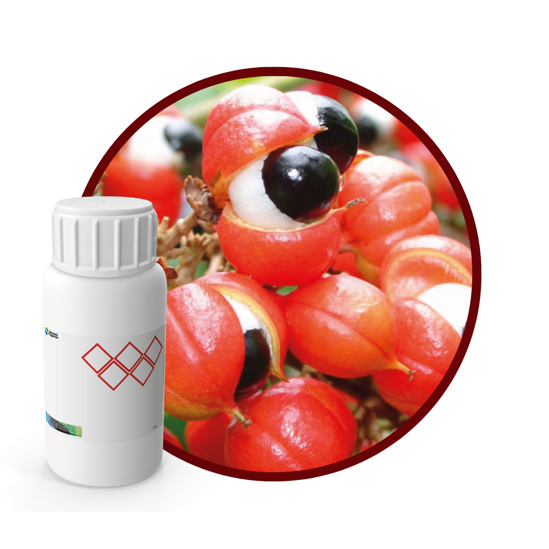 2G9971LX - SABOR GUARANA ENERGY1