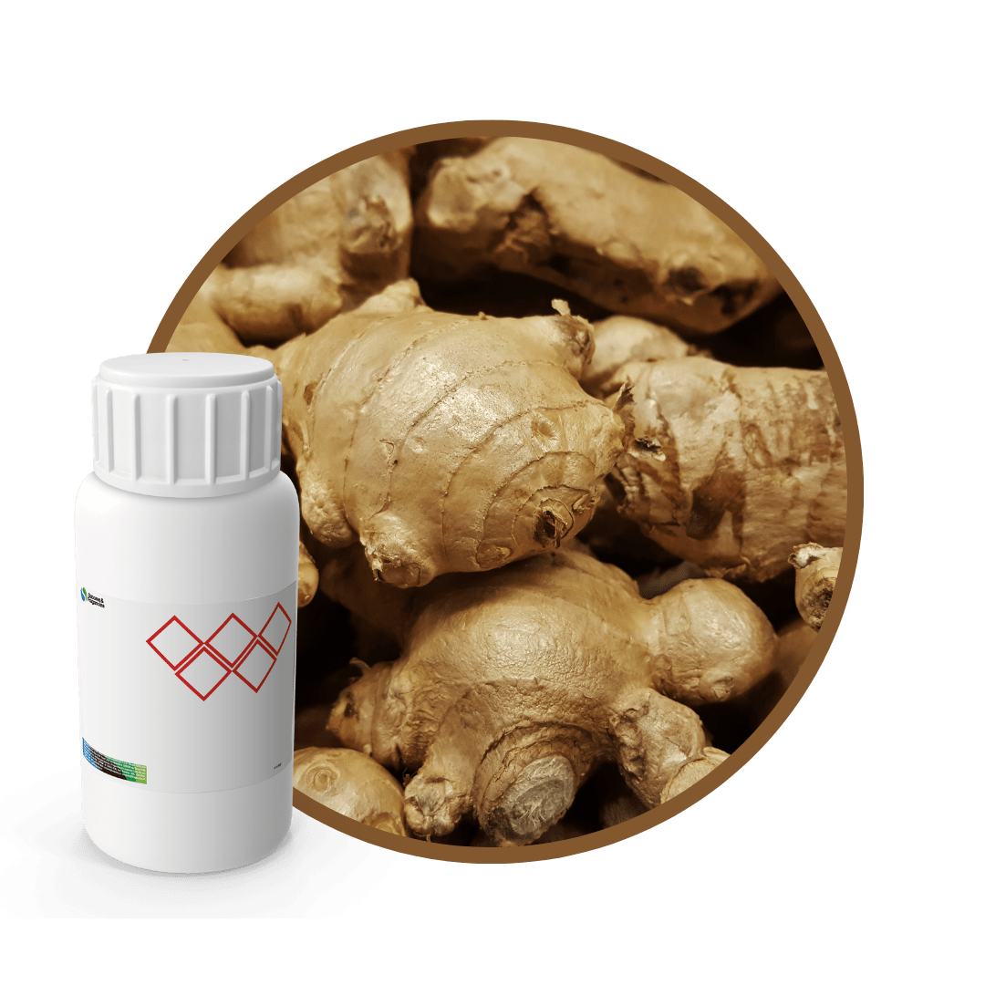 3J8482LX - SABOR JENGIBRE NATURAL1