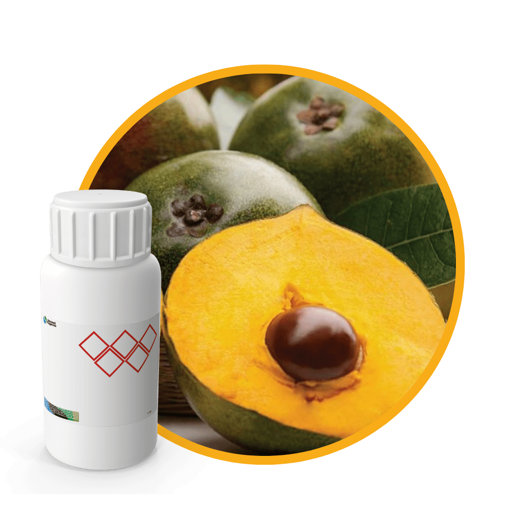 3L1013LX - SABOR LUCUMA1