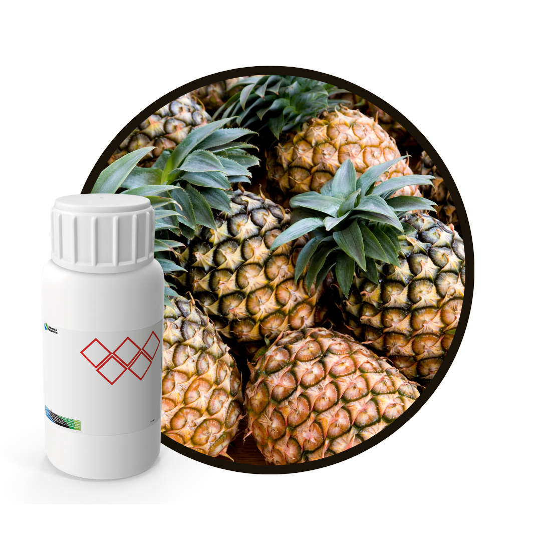 3P1092LX - SABOR PIÑA1