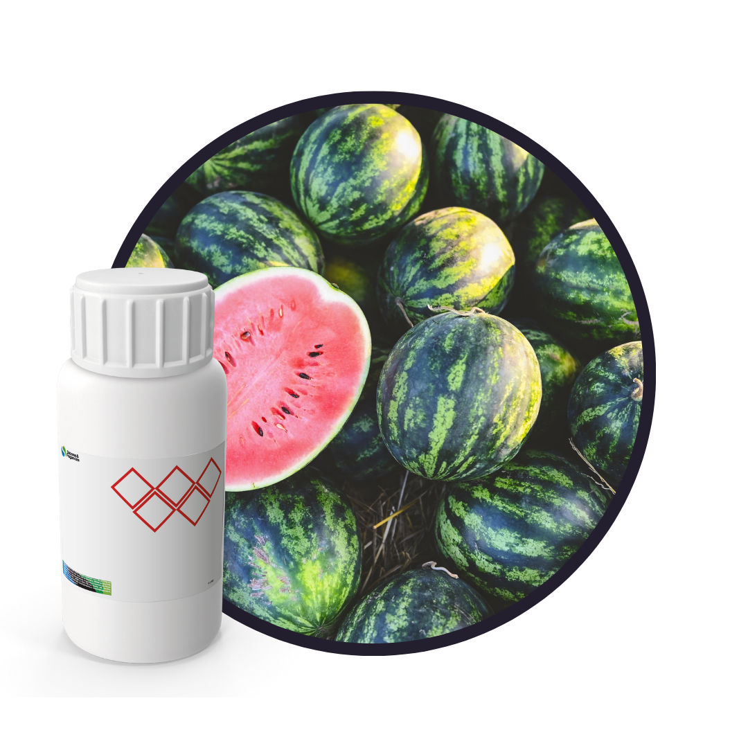 4E4539LX - SABOR SANDIA1