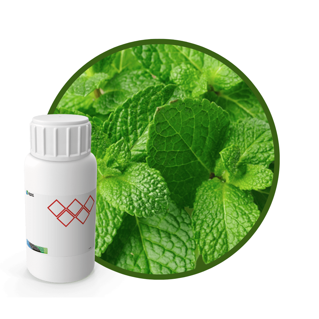 4M4641LX - SABOR MENTA NATURAL1