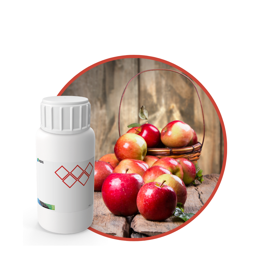 SC478844 - FRAGANCIA APPLE SOYCANDLE1